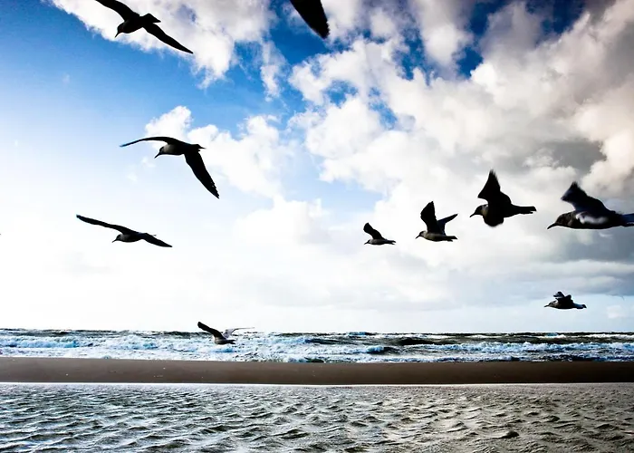 Morska 5 Aparthotel Niechorze